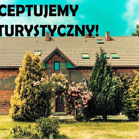 Chata Na Koncu Swiata Czaplin Maly Extérieur photo