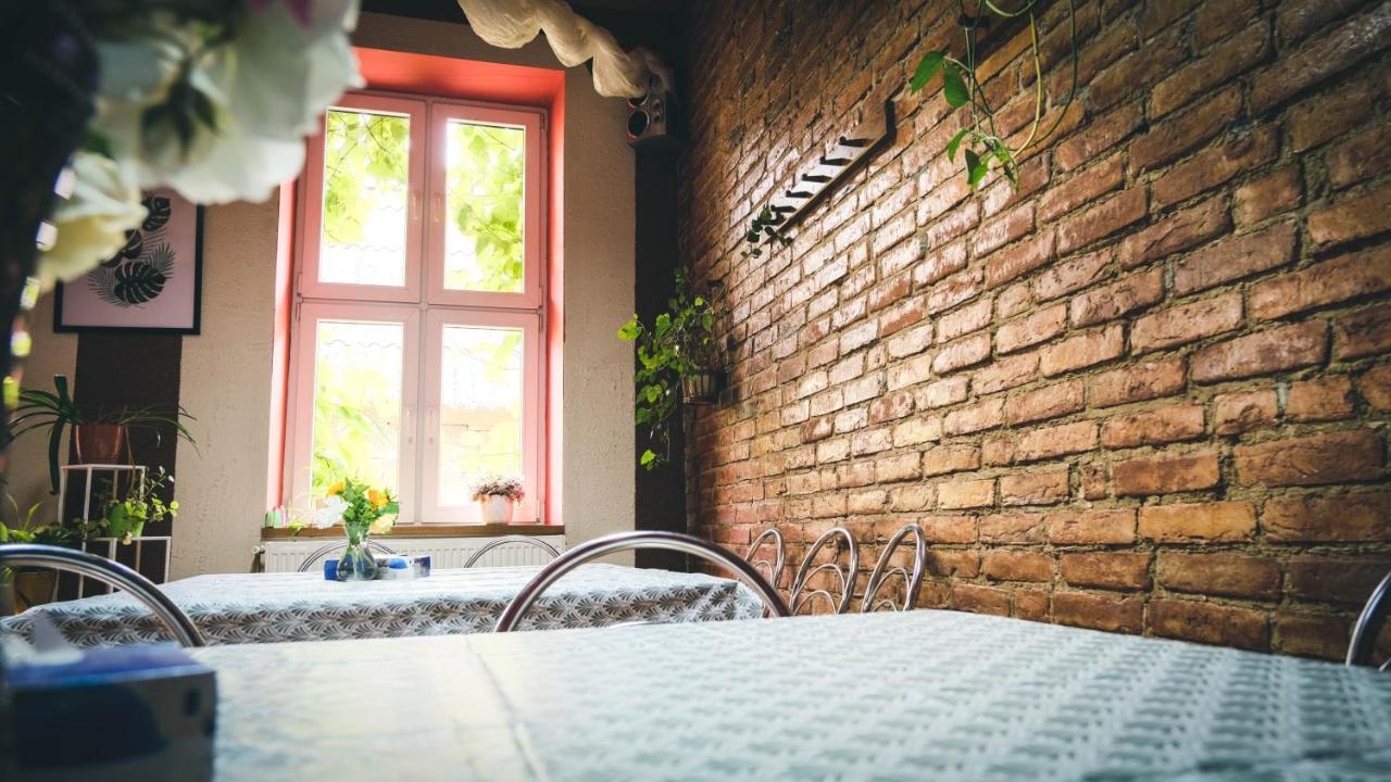 Chata Na Koncu Swiata Czaplin Maly Extérieur photo