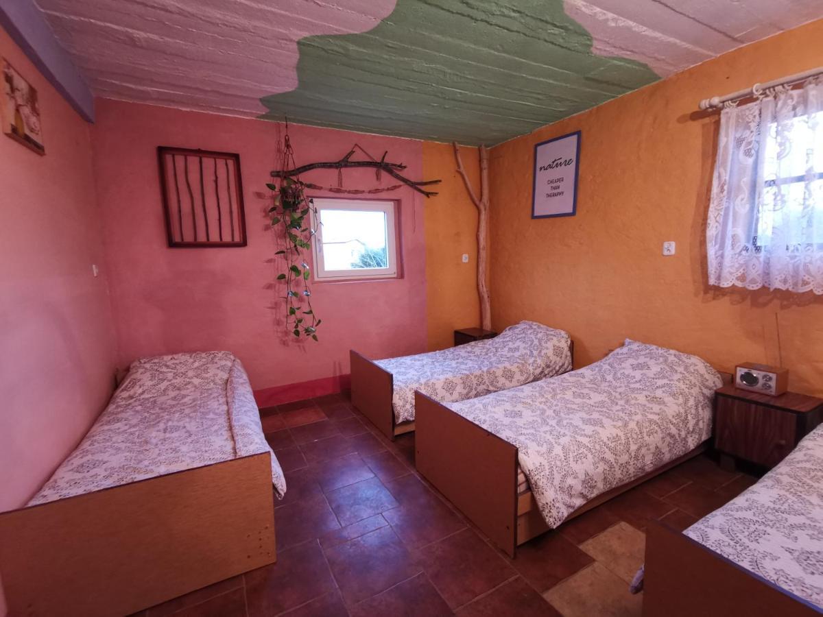Chata Na Koncu Swiata Czaplin Maly Extérieur photo