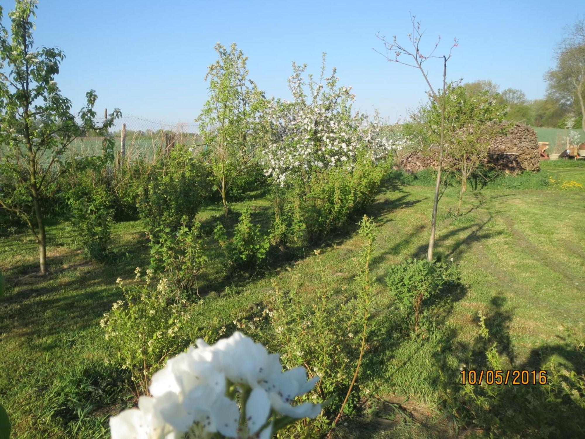Chata Na Koncu Swiata Czaplin Maly Extérieur photo